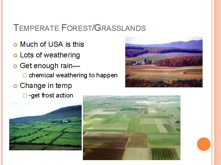 TEMPERATE FOREST/GRASSLANDS Much of USA is this Lots of weathering Get enough rain— �