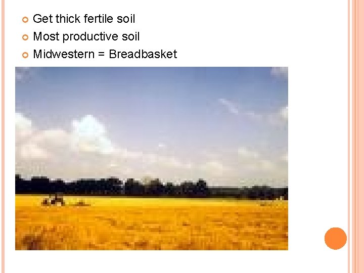 Get thick fertile soil Most productive soil Midwestern = Breadbasket 