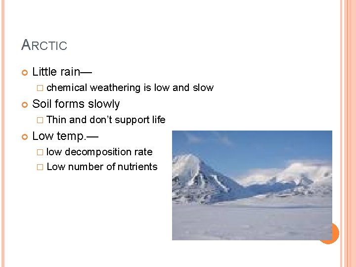 ARCTIC Little rain— � chemical Soil forms slowly � Thin weathering is low and