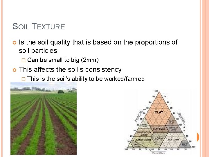 SOIL TEXTURE Is the soil quality that is based on the proportions of soil