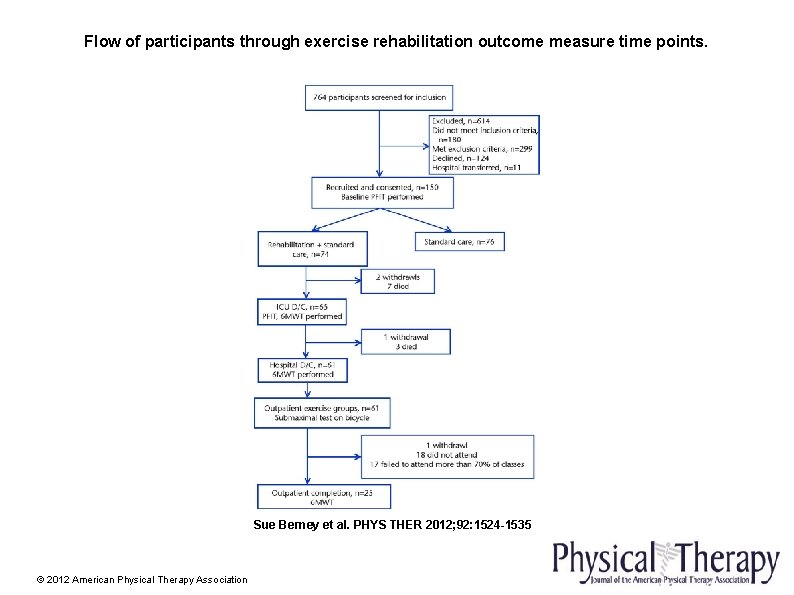 Flow of participants through exercise rehabilitation outcome measure time points. Sue Berney et al.
