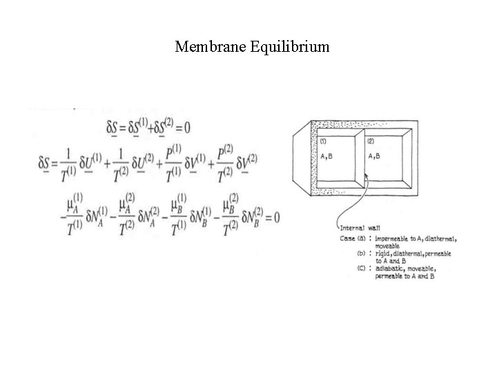 Membrane Equilibrium 