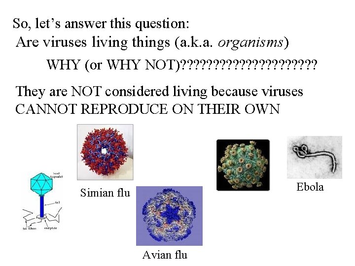 UNIT I INTRODUCTION TO BIOLOGY The Nature of