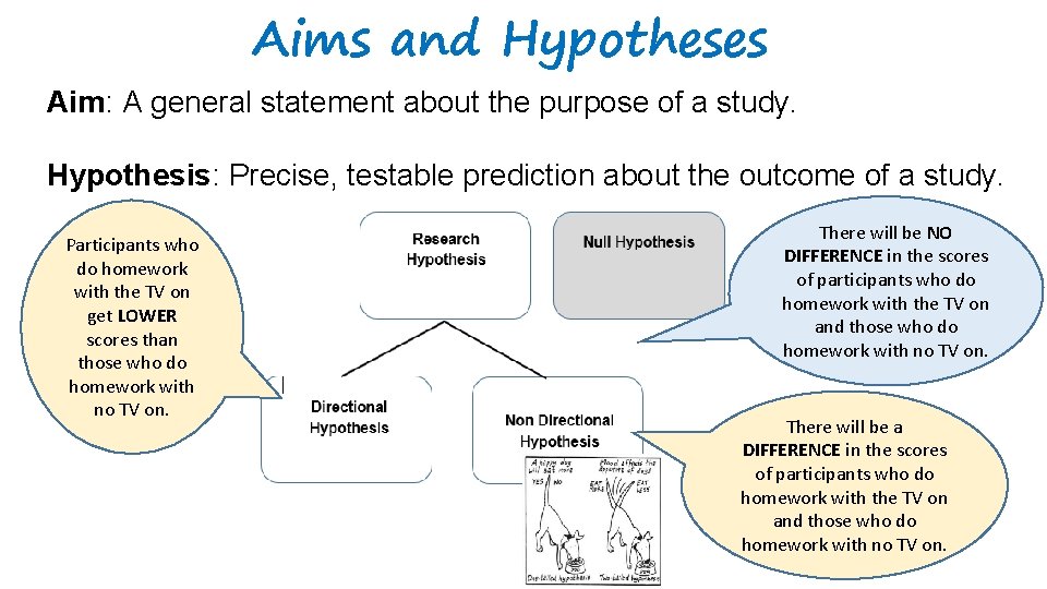 Aims and Hypotheses Aim: A general statement about the purpose of a study. Hypothesis: