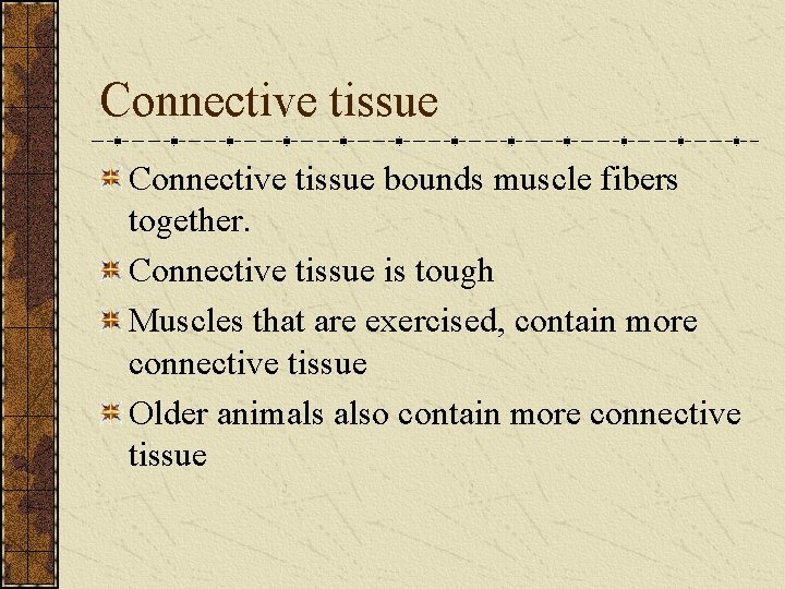 Connective tissue bounds muscle fibers together. Connective tissue is tough Muscles that are exercised,