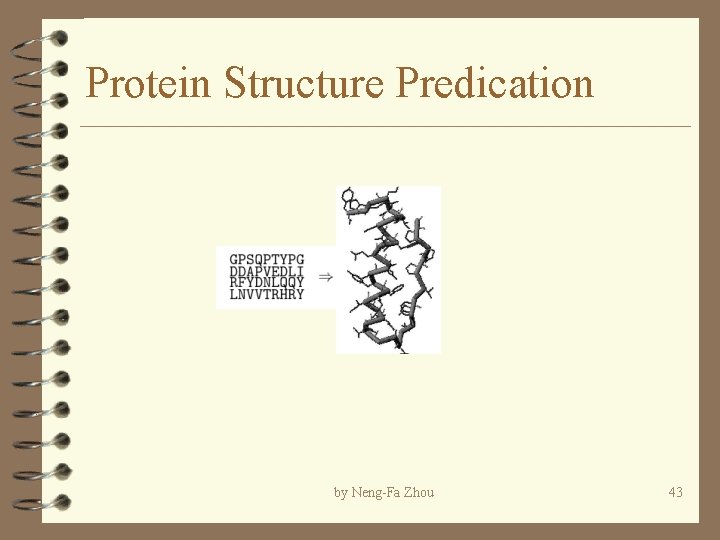 Protein Structure Predication by Neng-Fa Zhou 43 