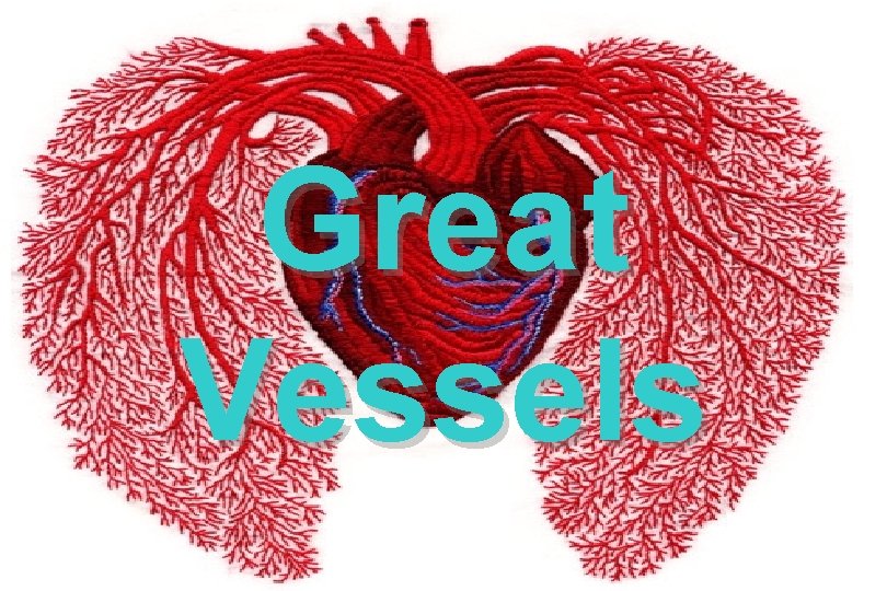 Great Vessels 
