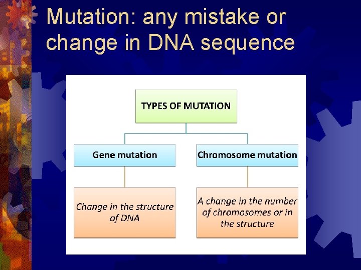 Mutation: any mistake or change in DNA sequence 