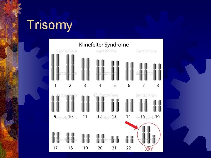 Trisomy 