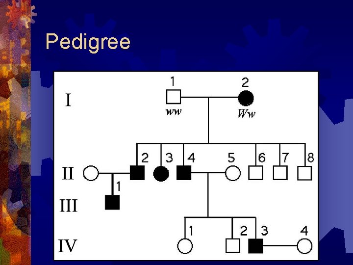Pedigree 