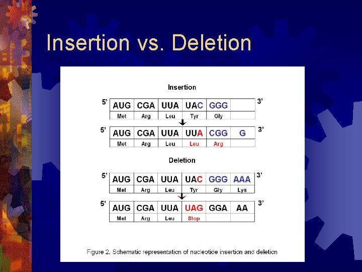 Insertion vs. Deletion 