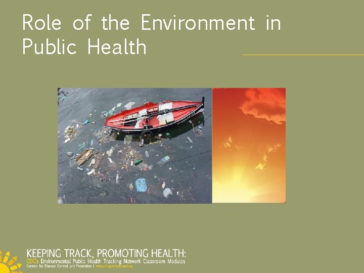 Role of the Environment in Public Health 