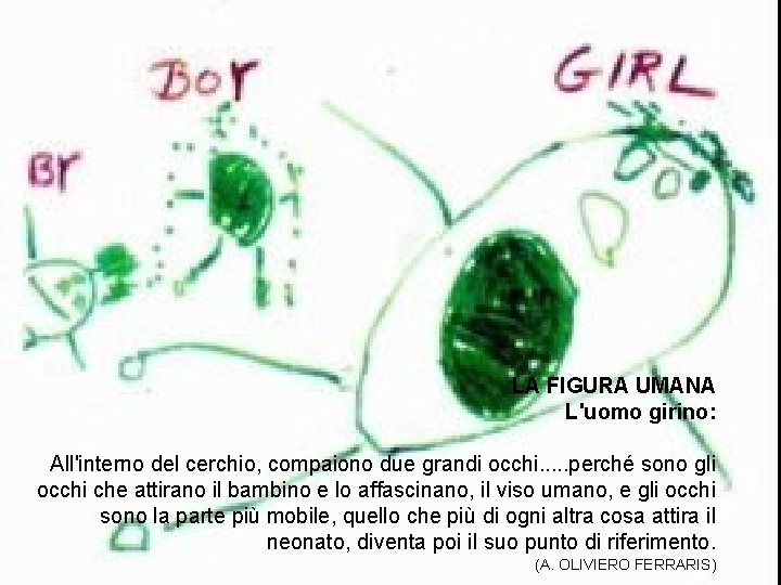 LA FIGURA UMANA L'uomo girino: All'interno del cerchio, compaiono due grandi occhi. . .