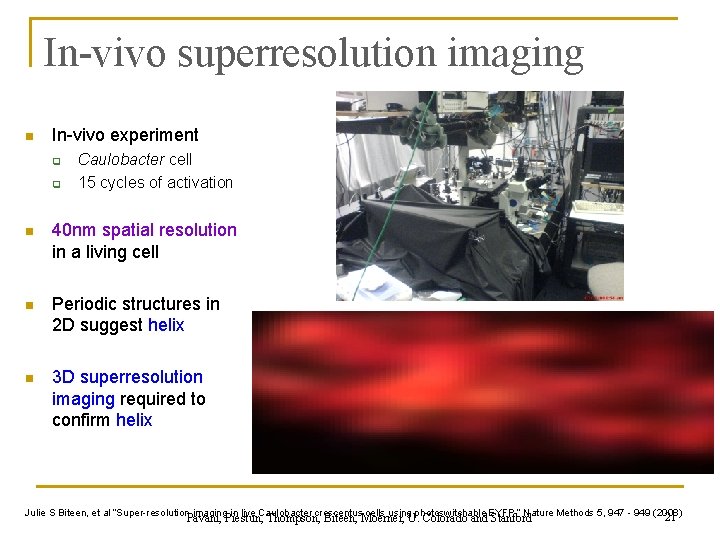 In-vivo superresolution imaging n In-vivo experiment q q Caulobacter cell 15 cycles of activation
