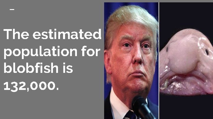 The estimated population for blobfish is 132, 000. 