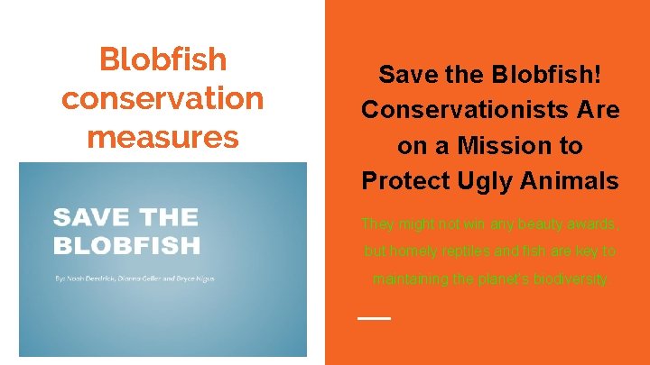 Blobfish conservation measures Save the Blobfish! Conservationists Are on a Mission to Protect Ugly