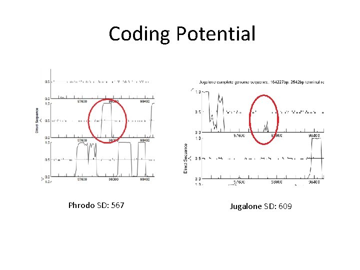 Coding Potential Phrodo SD: 567 Jugalone SD: 609 