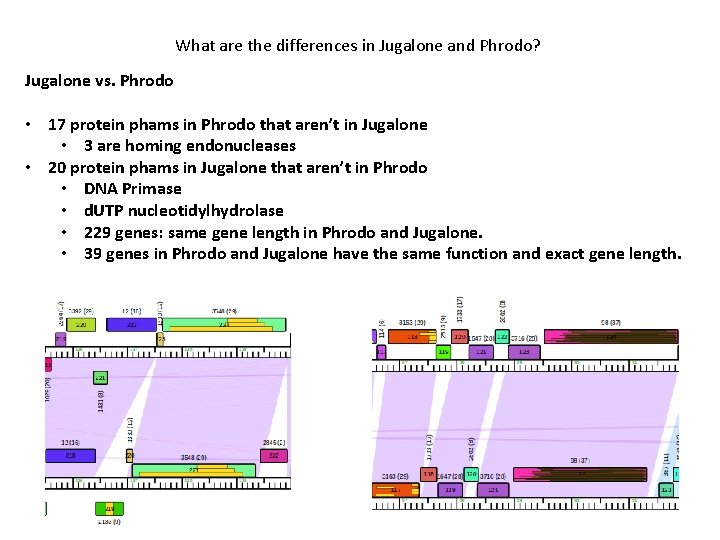 What are the differences in Jugalone and Phrodo? Jugalone vs. Phrodo • 17 protein