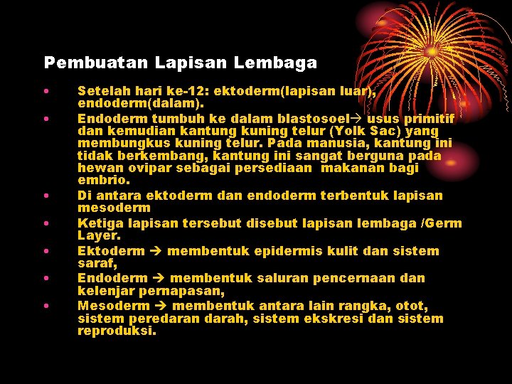 Pembuatan Lapisan Lembaga • • Setelah hari ke-12: ektoderm(lapisan luar), endoderm(dalam). Endoderm tumbuh ke