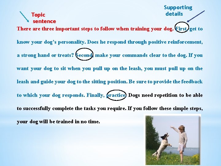 Supporting details Topic sentence There are three important steps to follow when training your