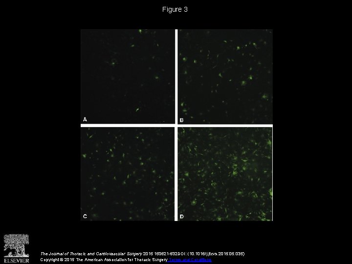 Figure 3 The Journal of Thoracic and Cardiovascular Surgery 2015 150621 -632 DOI: (10.