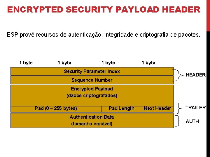 ENCRYPTED SECURITY PAYLOAD HEADER ESP provê recursos de autenticação, integridade e criptografia de pacotes.