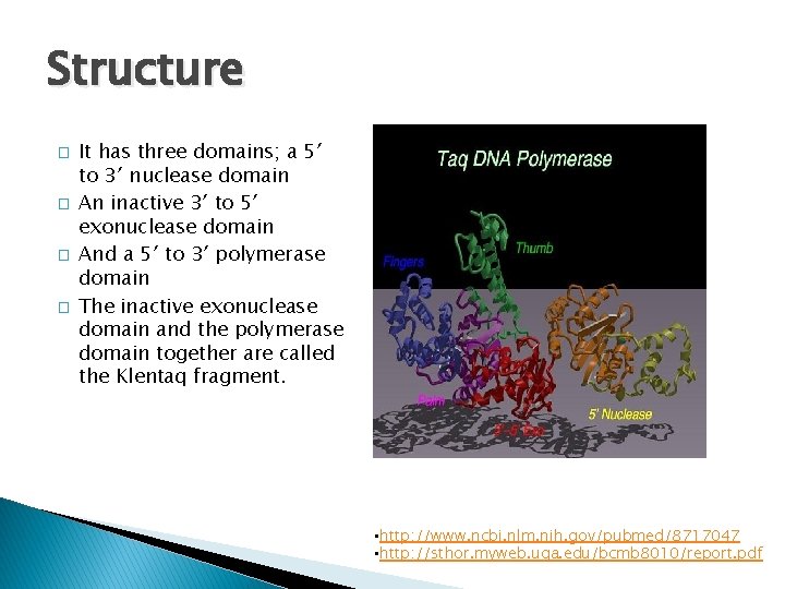 Structure � � It has three domains; a 5′ to 3′ nuclease domain An