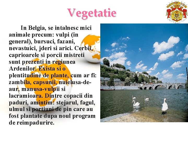 Vegetatie In Belgia, se intalnesc mici animale precum: vulpi (in general), bursuci, fazani, nevastuici,