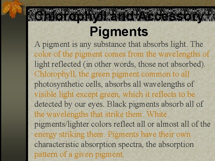 Chlorophyll and Accessory Pigments A pigment is any substance that absorbs light. The color