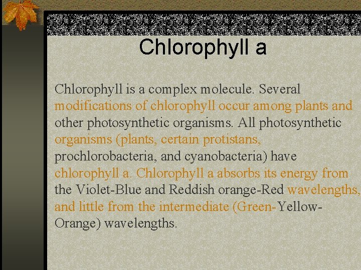 Chlorophyll a Chlorophyll is a complex molecule. Several modifications of chlorophyll occur among plants