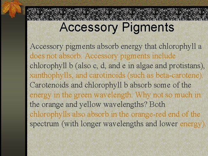Accessory Pigments Accessory pigments absorb energy that chlorophyll a does not absorb. Accessory pigments