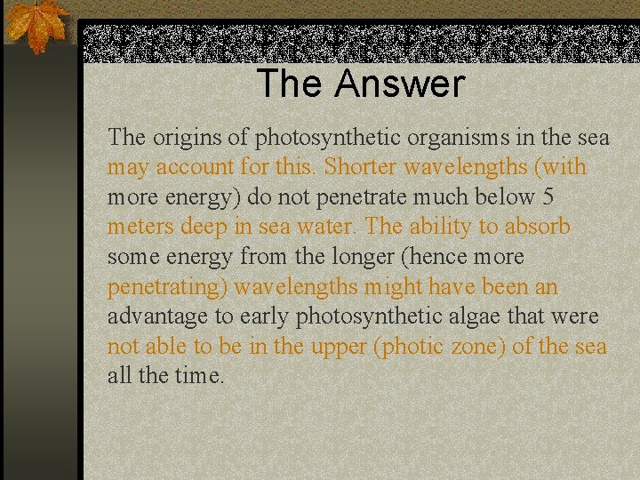 The Answer The origins of photosynthetic organisms in the sea may account for this.