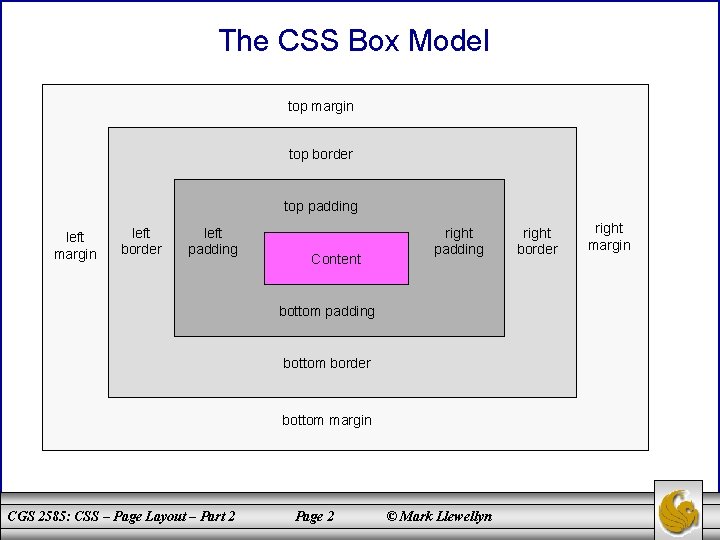 The CSS Box Model top margin top border top padding left margin left border