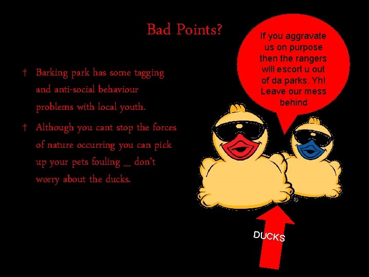 Bad Points? † Barking park has some tagging and anti-social behaviour problems with local