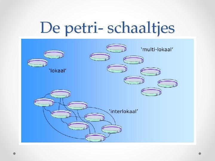 De petri- schaaltjes 