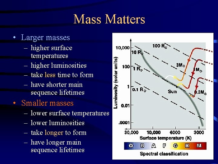 Mass Matters • Larger masses – higher surface temperatures – higher luminosities – take