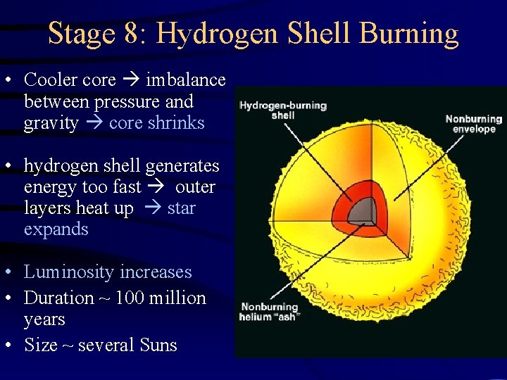 Stage 8: Hydrogen Shell Burning • Cooler core imbalance between pressure and gravity core