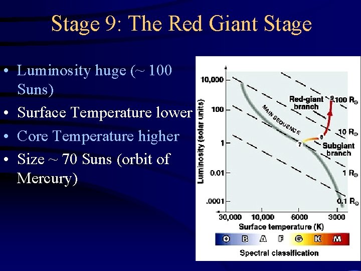 Stage 9: The Red Giant Stage • Luminosity huge (~ 100 Suns) • Surface