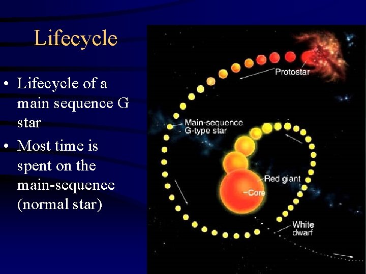 Lifecycle • Lifecycle of a main sequence G star • Most time is spent