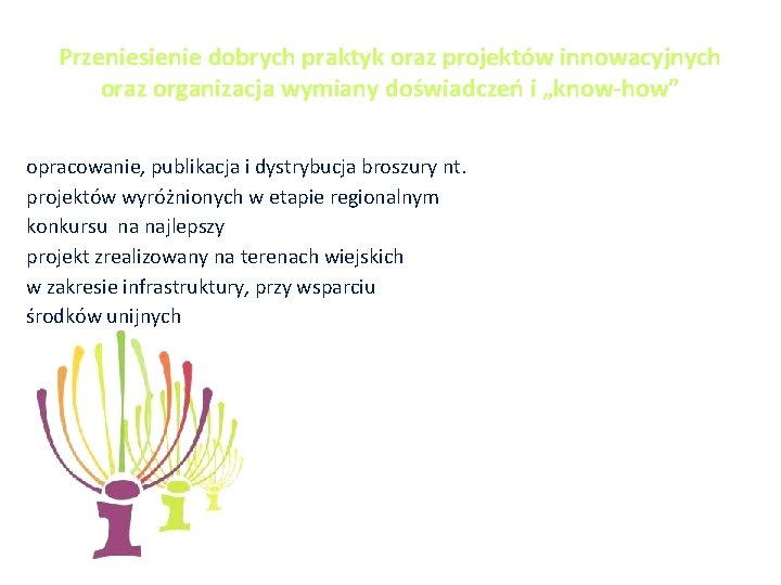 Przeniesienie dobrych praktyk oraz projektów innowacyjnych oraz organizacja wymiany doświadczeń i „know-how” opracowanie, publikacja