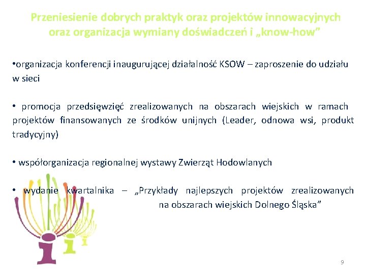 Przeniesienie dobrych praktyk oraz projektów innowacyjnych oraz organizacja wymiany doświadczeń i „know-how” • organizacja