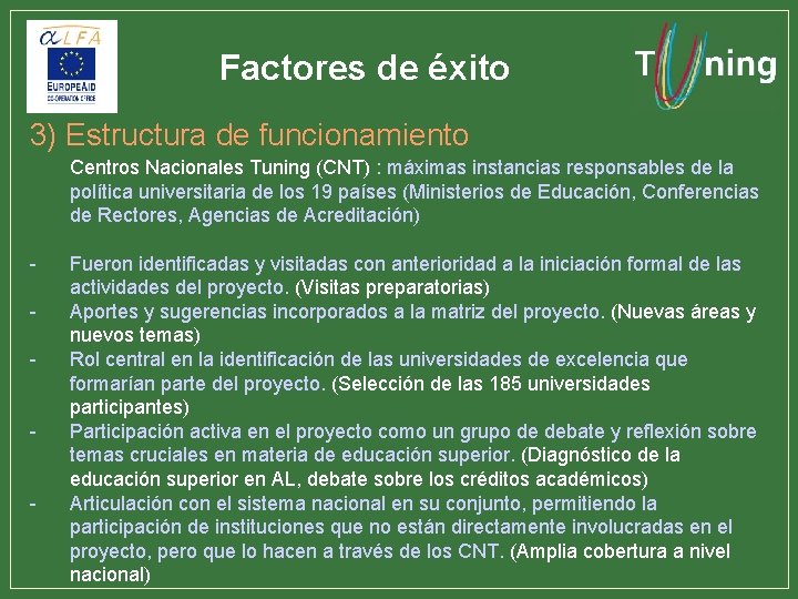 Factores de éxito 3) Estructura de funcionamiento Centros Nacionales Tuning (CNT) : máximas instancias