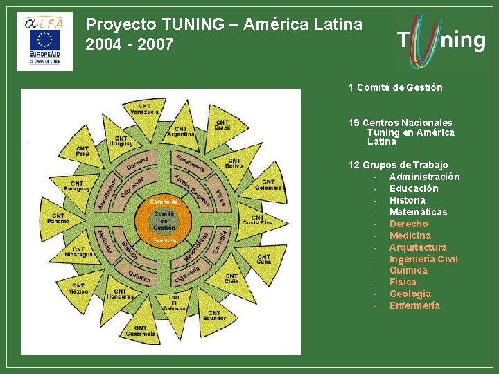 Proyecto TUNING – América Latina 2004 - 2007 1 Comité de Gestión 19 Centros