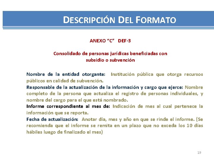 DESCRIPCIÓN DEL FORMATO ANEXO “C” DEF-3 Consolidado de personas jurídicas beneficiadas con subsidio o