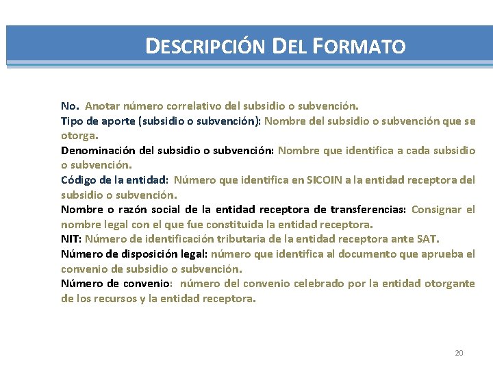 DESCRIPCIÓN DEL FORMATO No. Anotar número correlativo del subsidio o subvención. Tipo de aporte