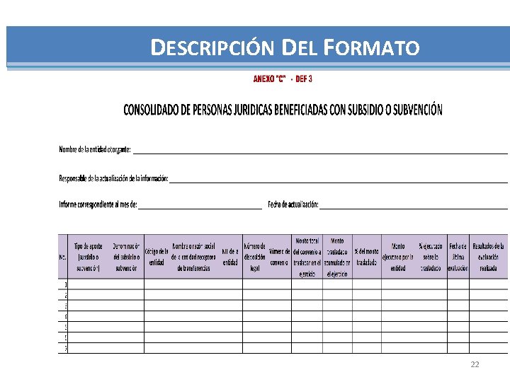 DESCRIPCIÓN DEL FORMATO 22 