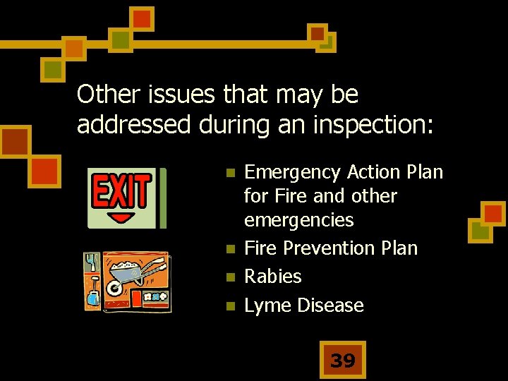 Other issues that may be addressed during an inspection: n n Emergency Action Plan