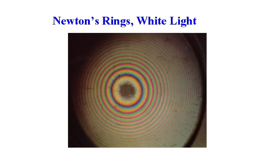 Newton’s Rings, White Light 