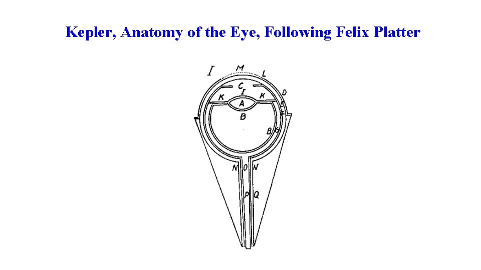 Kepler, Anatomy of the Eye, Following Felix Platter 