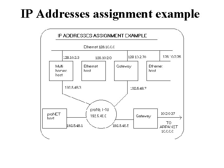 IP Addresses assignment example 